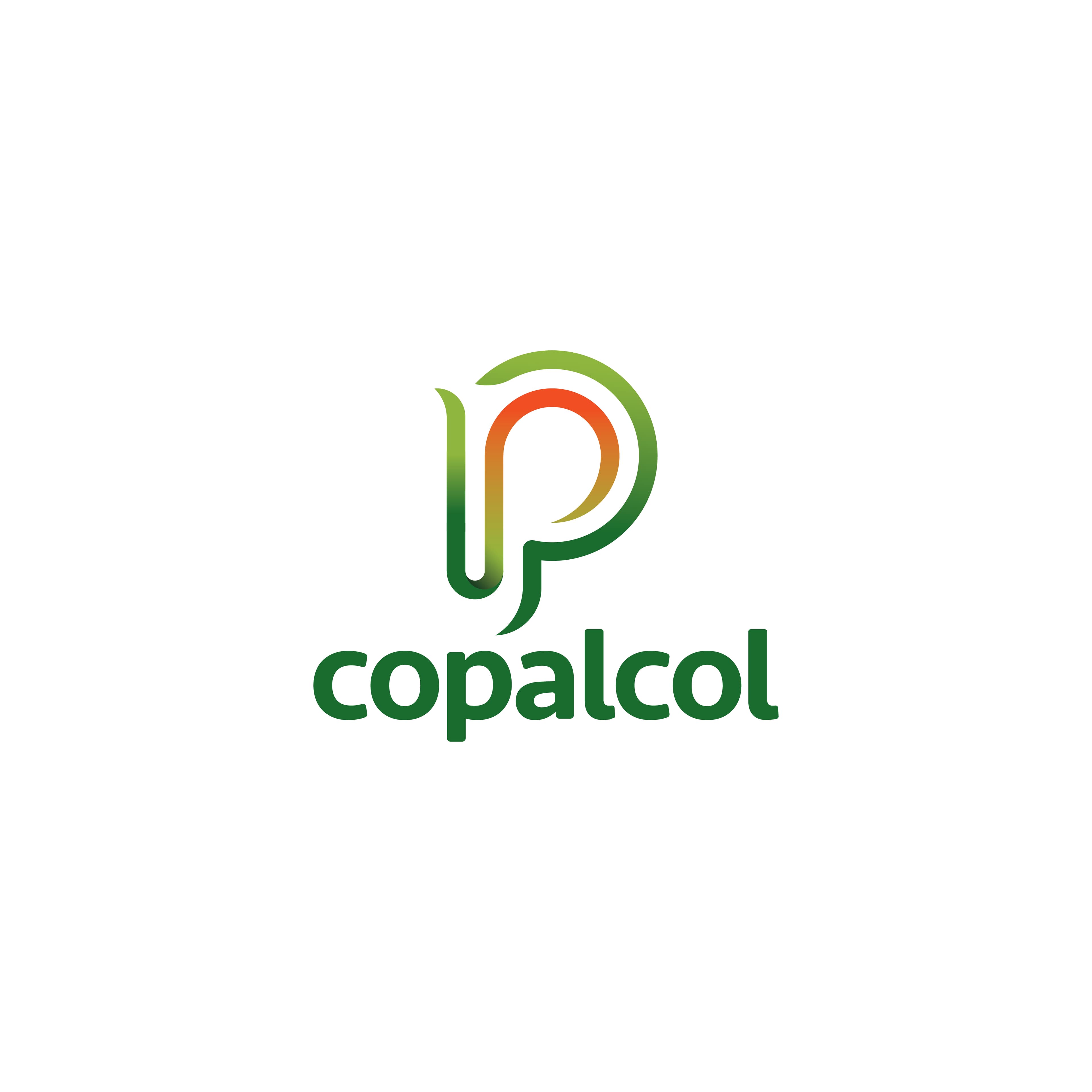 Proyecto de Branding