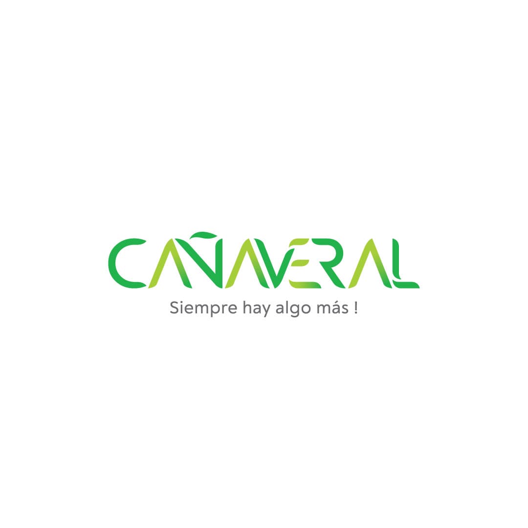 Proyecto de Branding